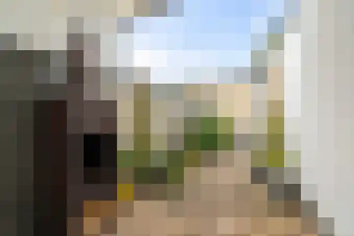 Joubertstraat 38 Den Helder thumbnail 16