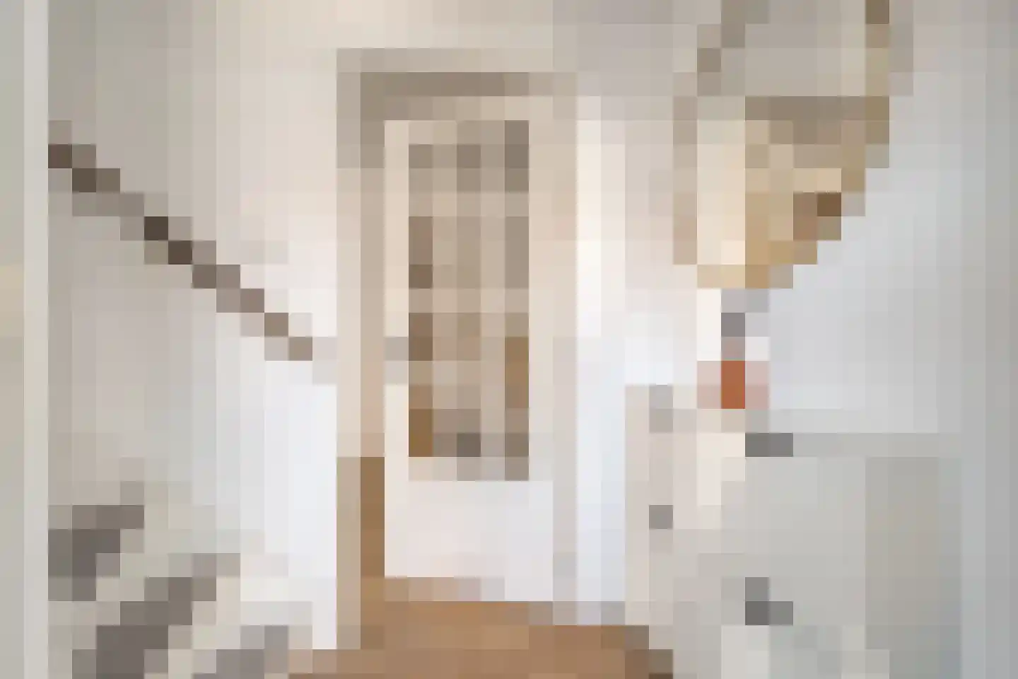 Joubertstraat 44 Den Helder thumbnail 7