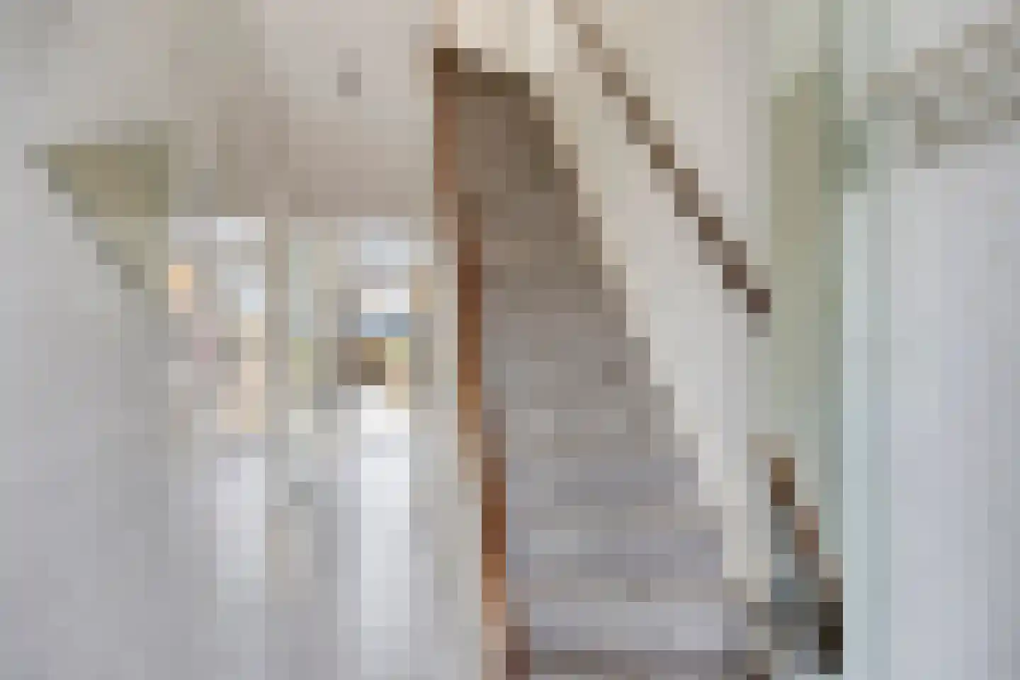 Joubertstraat 62 Gouda thumbnail 22