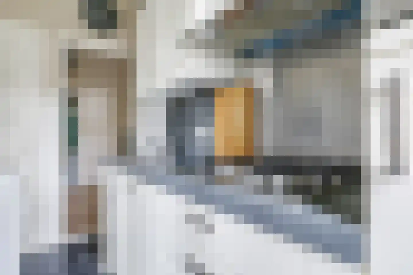 Joubertstraat 76 Nijmegen thumbnail 42