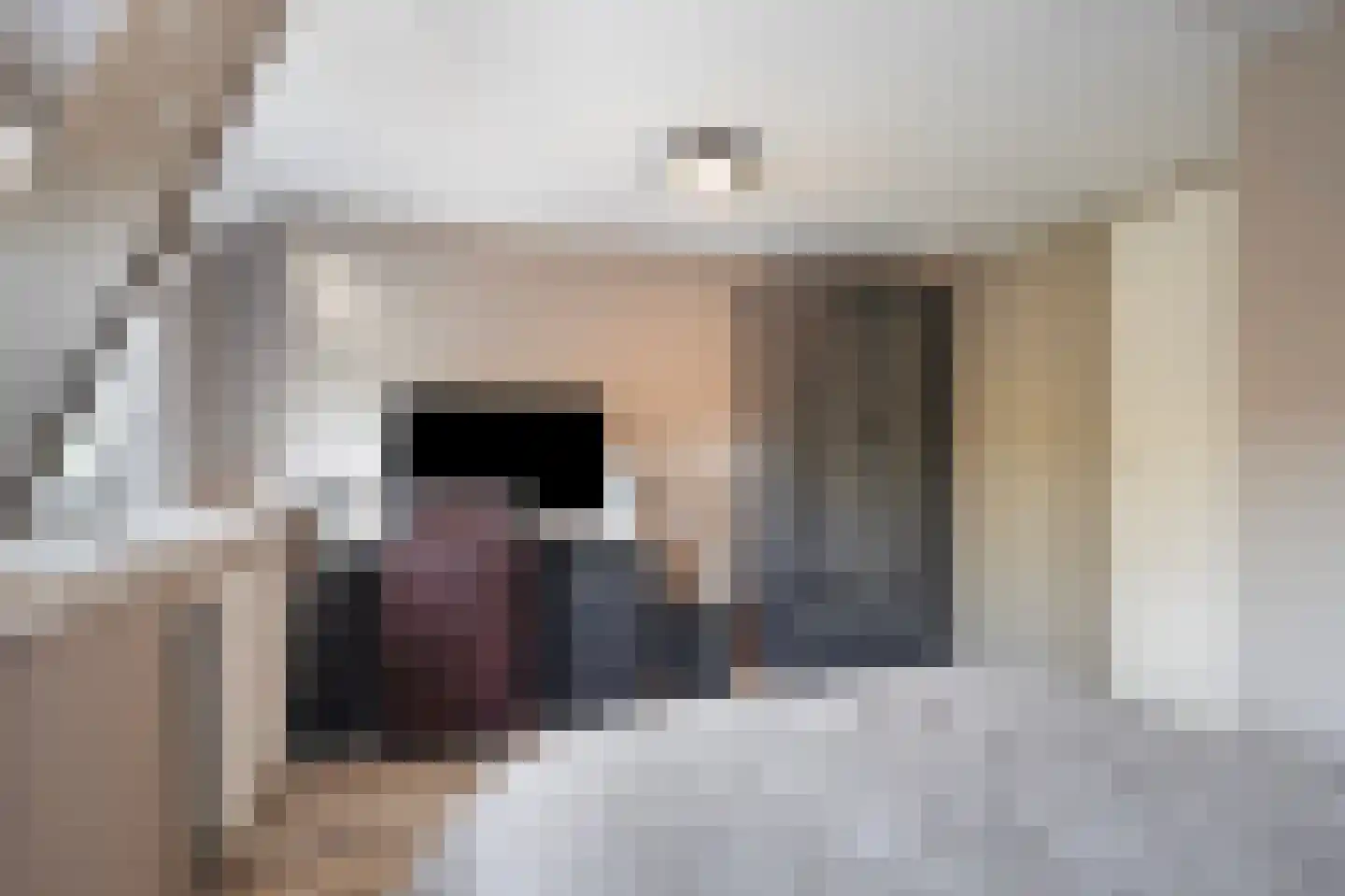 Joubertstraat 77 Den Helder thumbnail 20