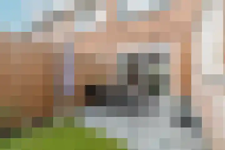 Joubertstraat 79 Nijmegen thumbnail 51