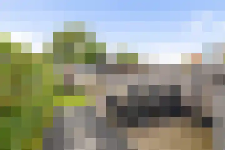 Joubertstraat 81 Den Helder thumbnail 4
