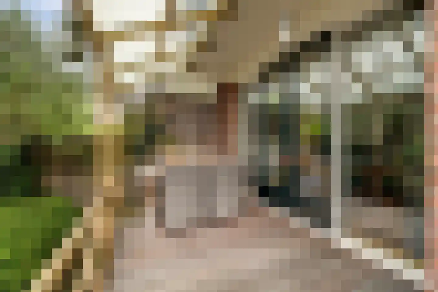 Joubertstraat 85 Gouda thumbnail 4