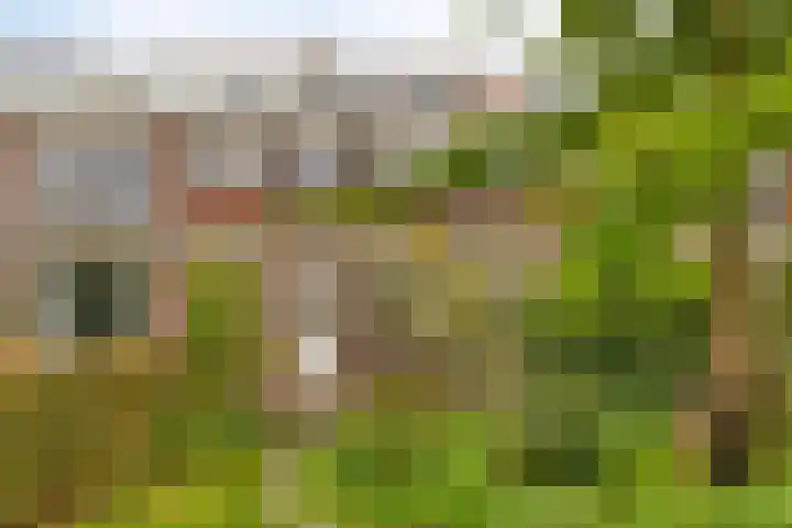 Joubertstraat 90 Gouda thumbnail 32