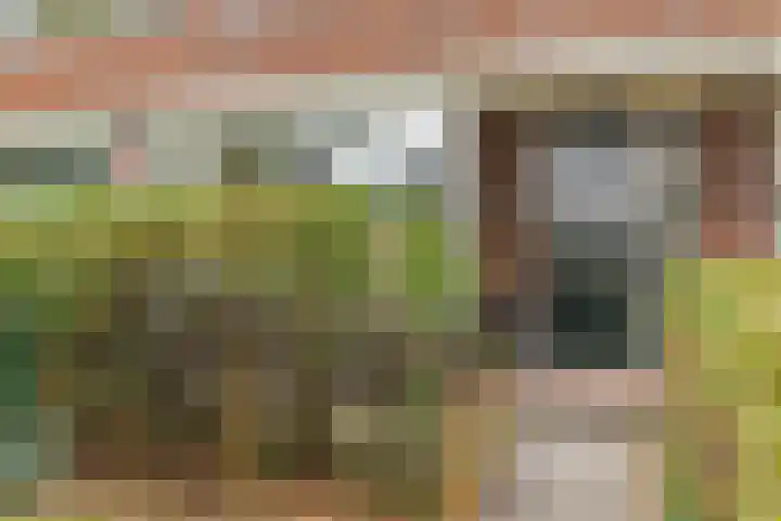 Joubertstraat 90 Gouda thumbnail 4