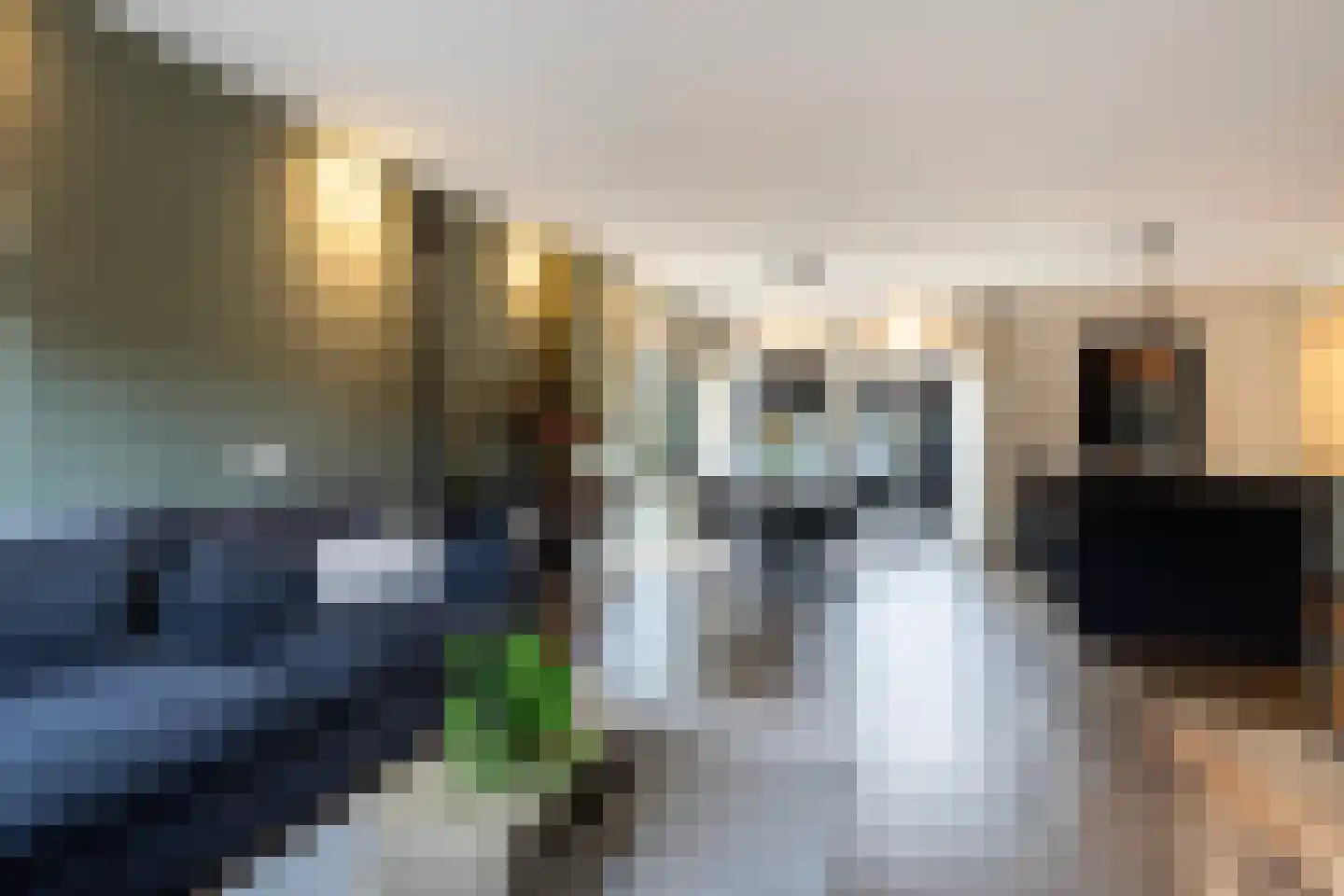 Jouchum Sprinckmeijerweg 1 Loenen thumbnail 17