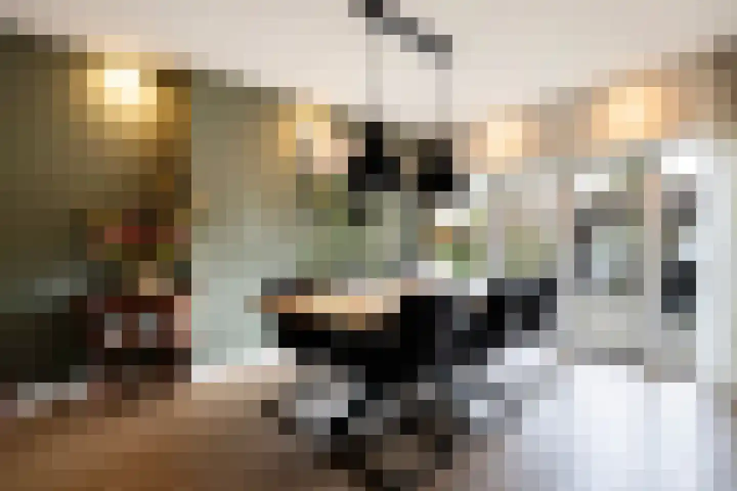 Jouchum Sprinckmeijerweg 1 Loenen thumbnail 21