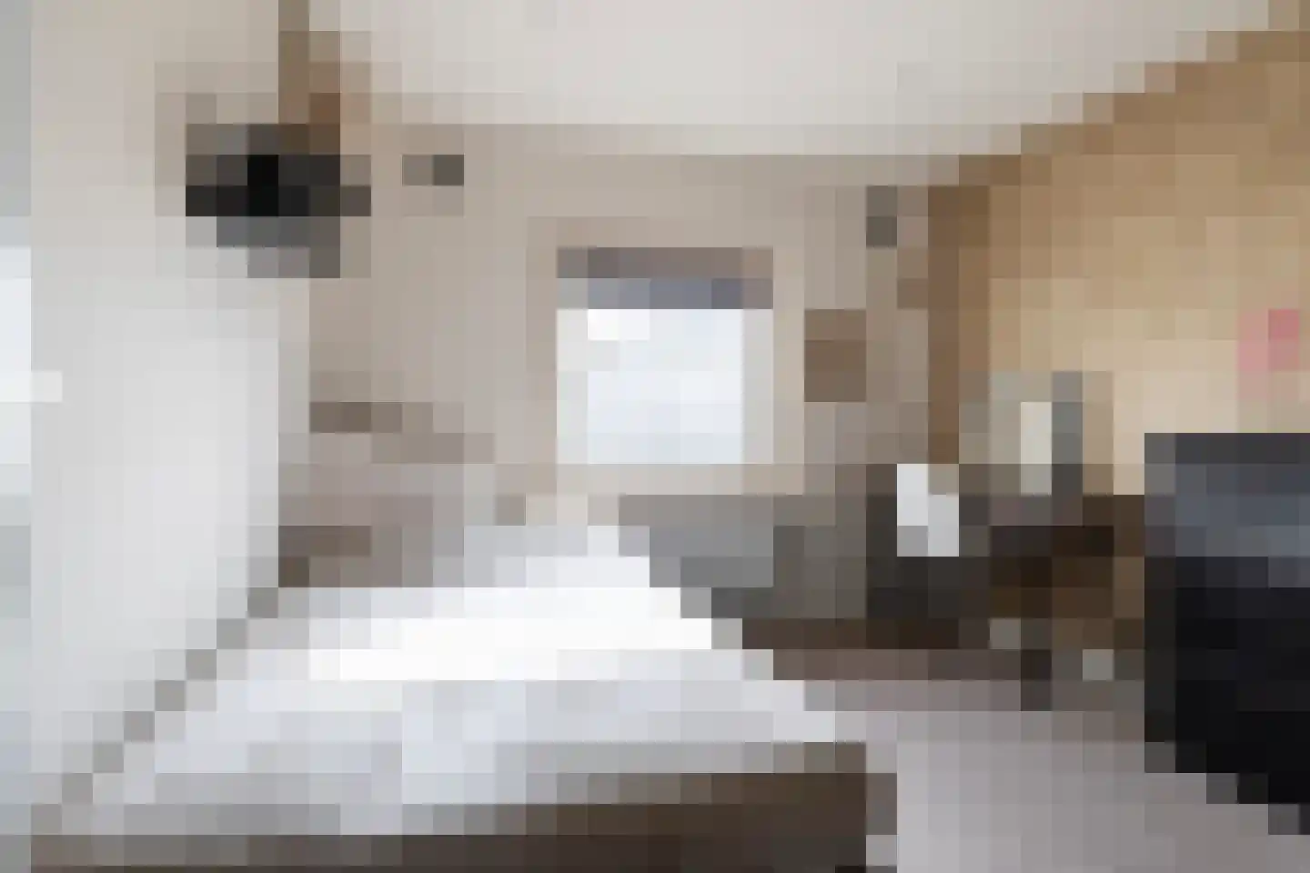 Jouchum Sprinckmeijerweg 1 Loenen thumbnail 27