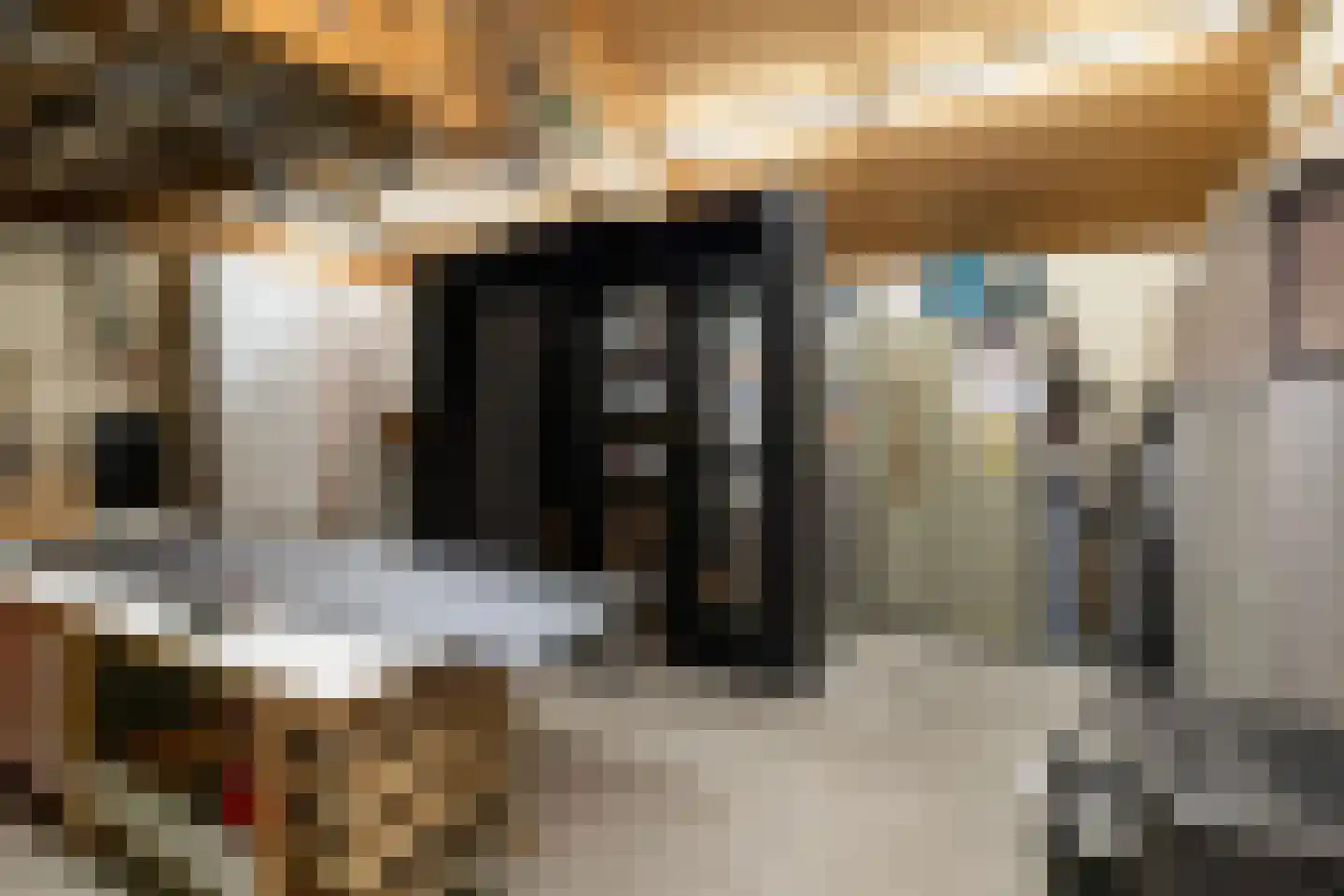 Jouchum Sprinckmeijerweg 1 Loenen thumbnail 35