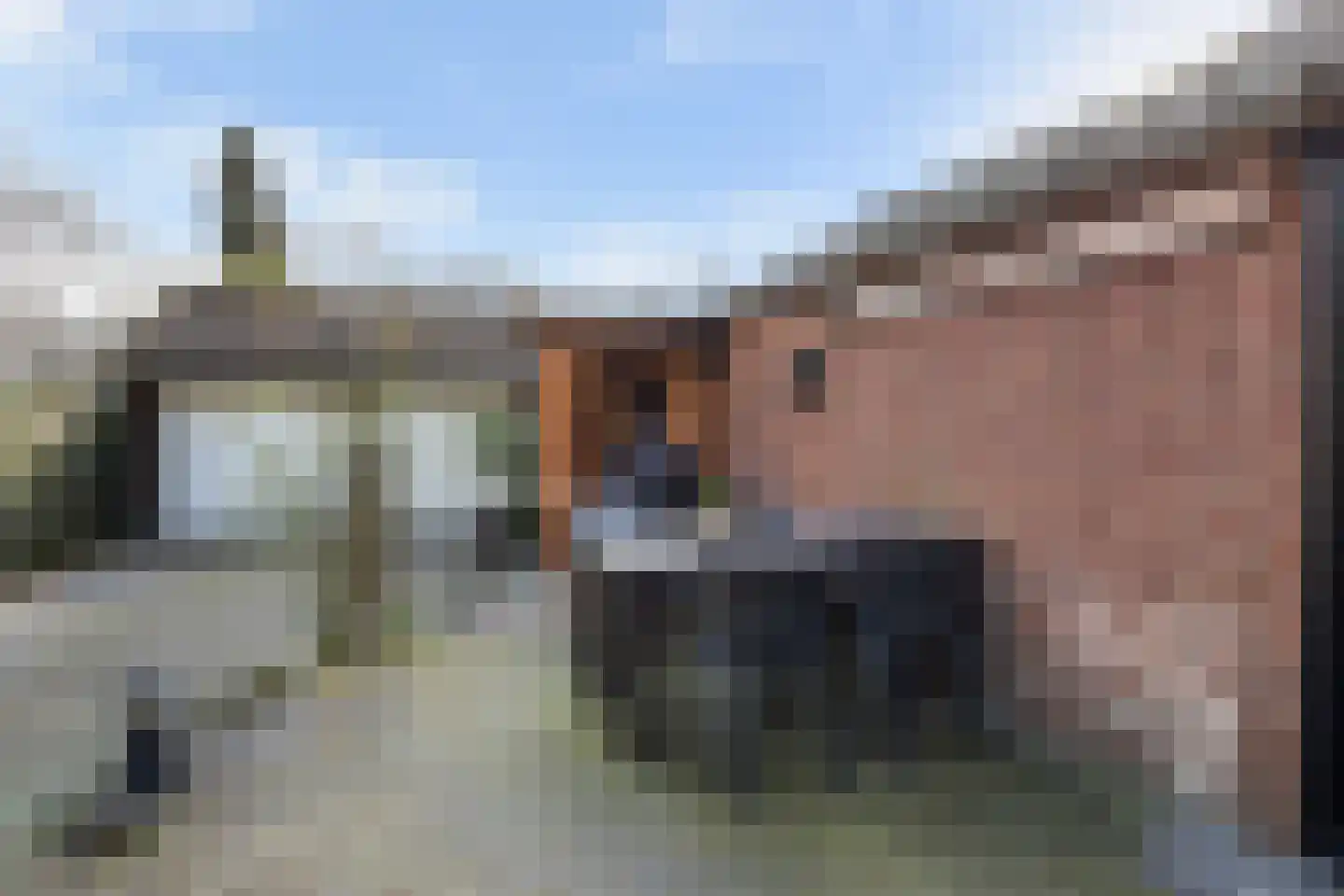 Jouchum Sprinckmeijerweg 1 Loenen thumbnail 37
