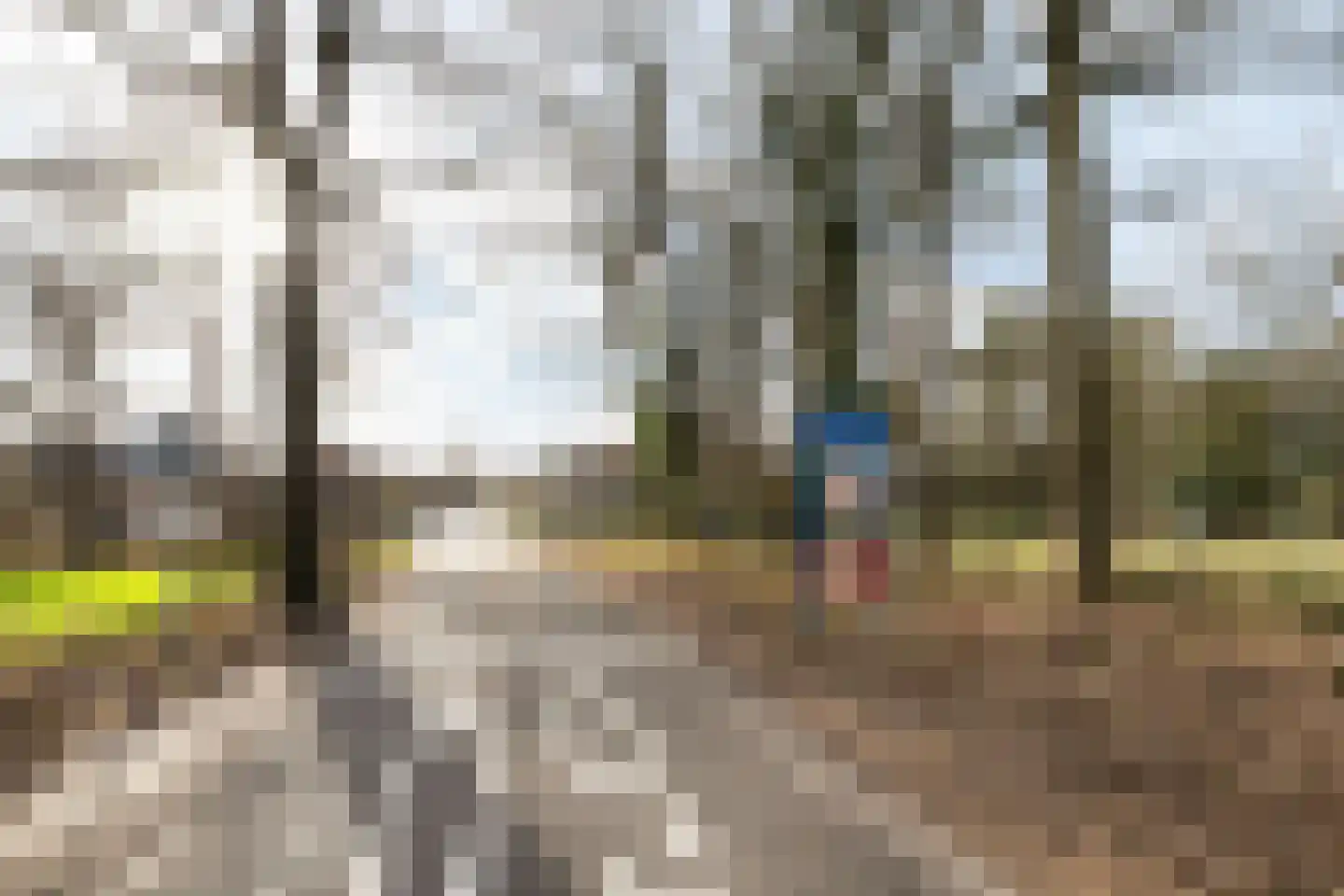 Jouchum Sprinckmeijerweg 1 Loenen thumbnail 44