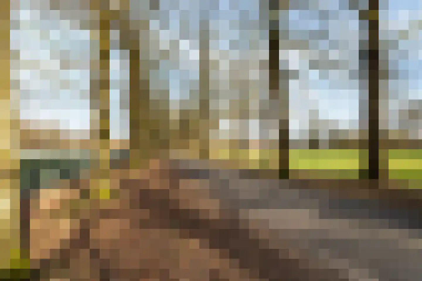 Jouchum Sprinckmeijerweg 1 Loenen thumbnail 45