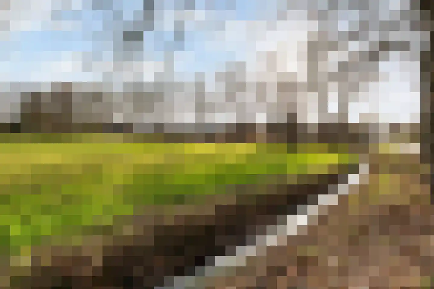 Jouchum Sprinckmeijerweg 1 Loenen thumbnail 46