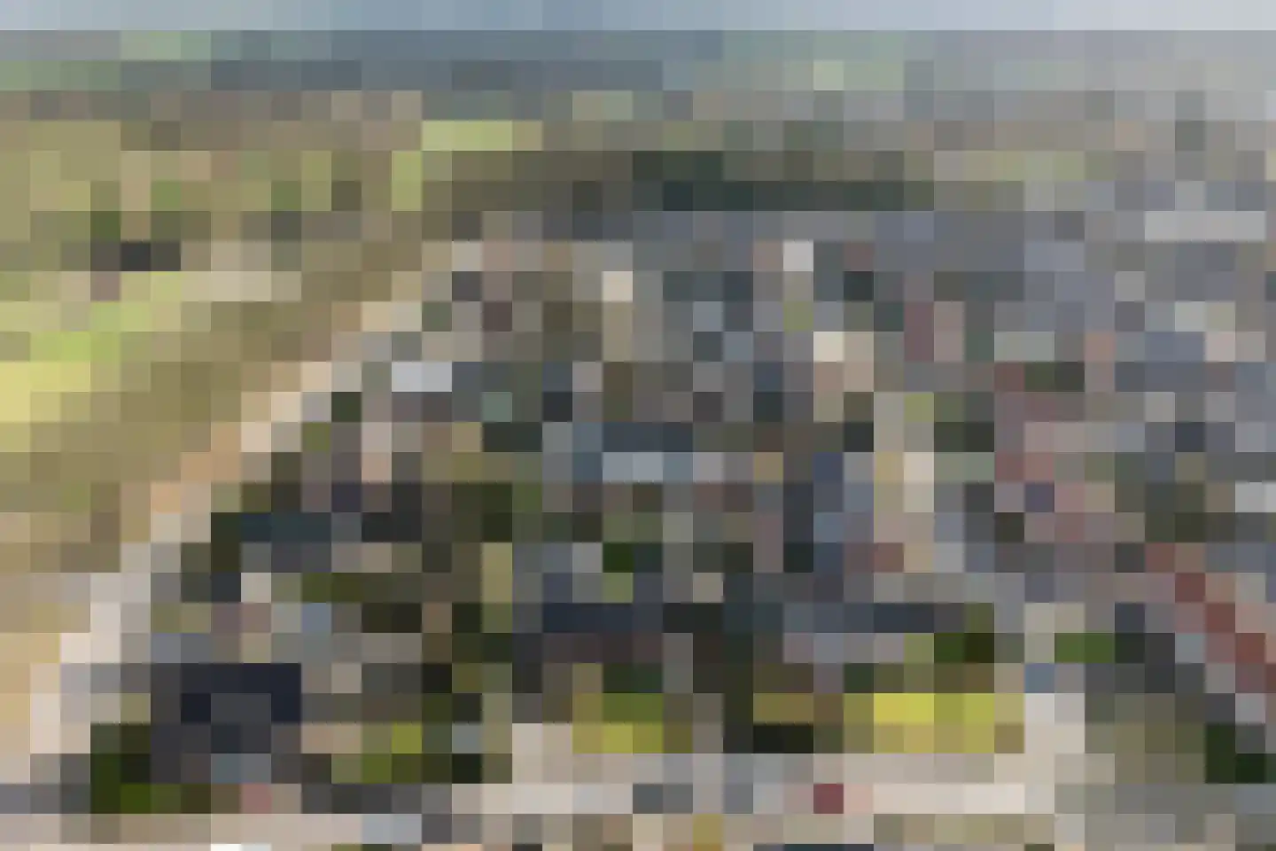 Jouchum Sprinckmeijerweg 1 Loenen thumbnail 47