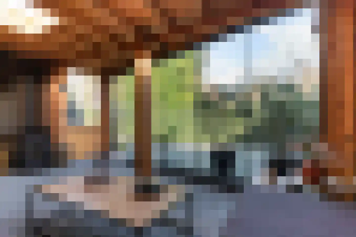 Jouchum Sprinckmeijerweg 1 Loenen thumbnail 5