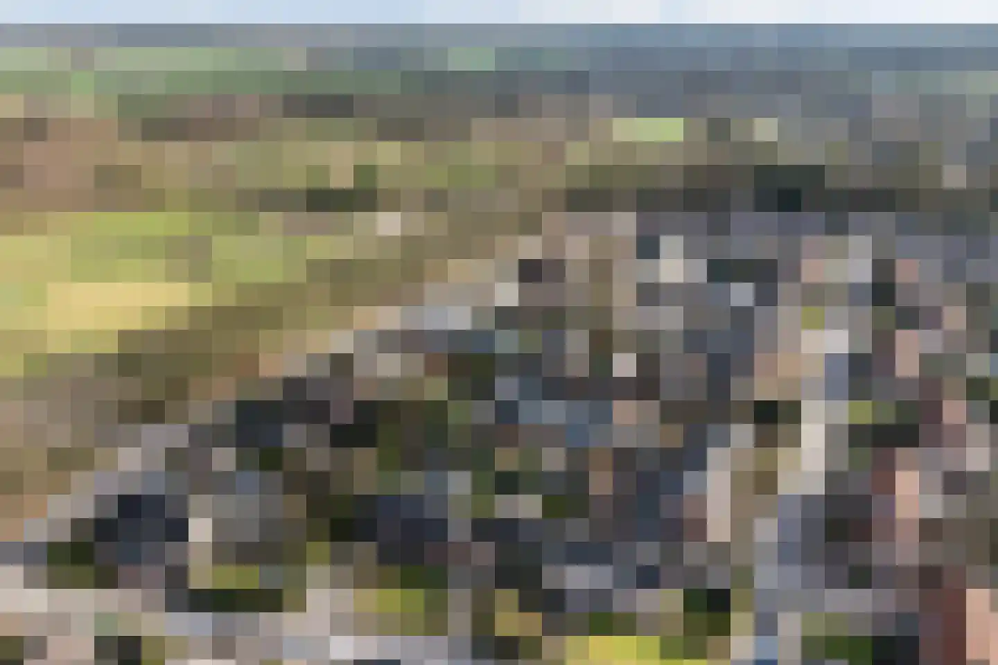 Jouchum Sprinckmeijerweg 1 Loenen thumbnail 6