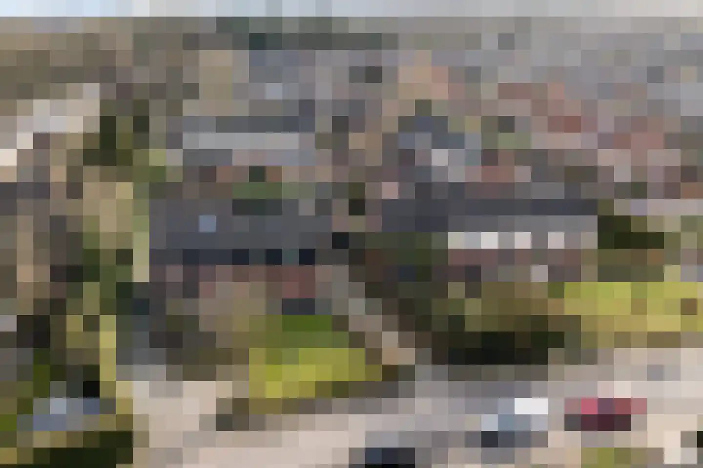 Jouchum Sprinckmeijerweg 1 Loenen thumbnail 7