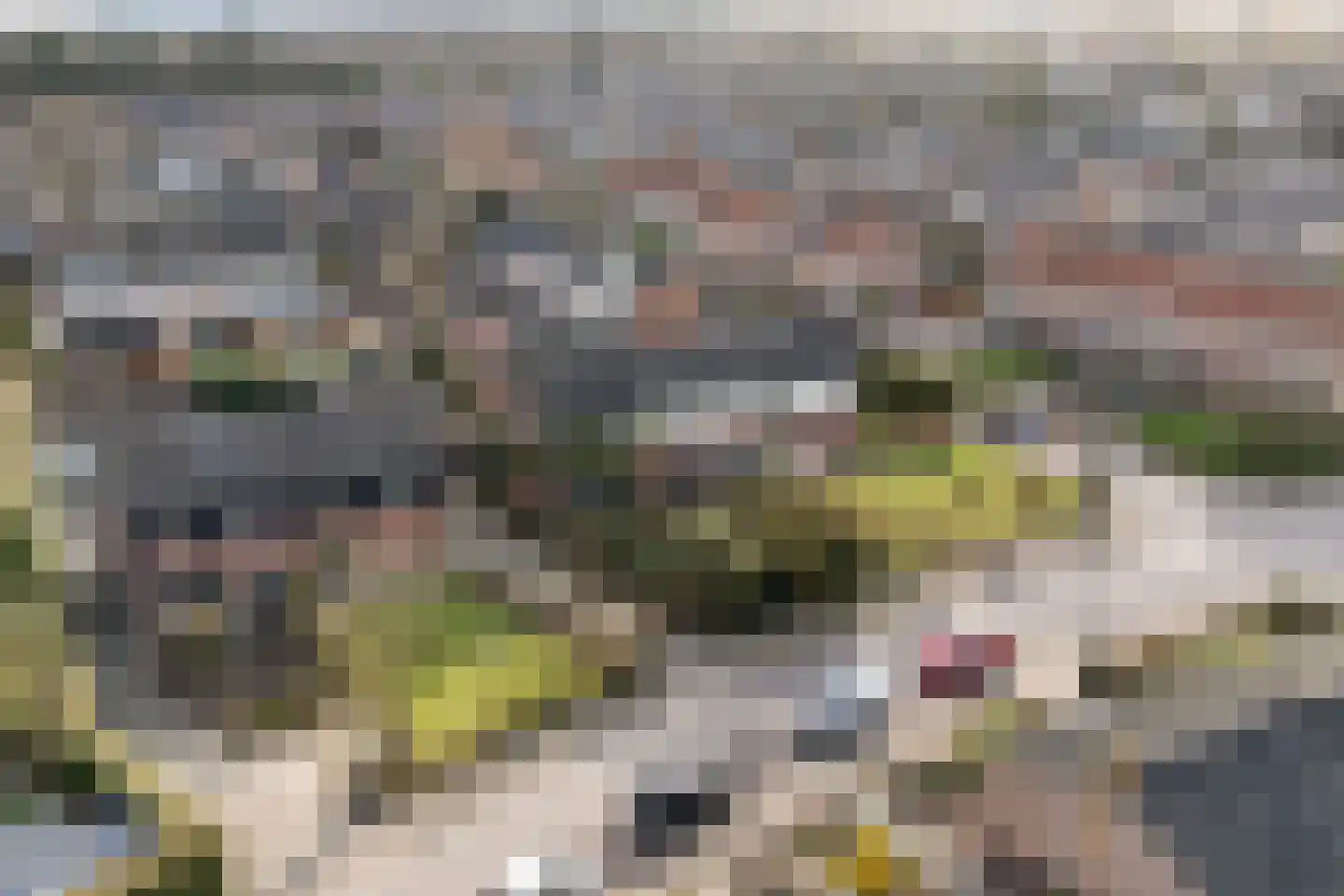 Jouchum Sprinckmeijerweg 1 Loenen thumbnail 8