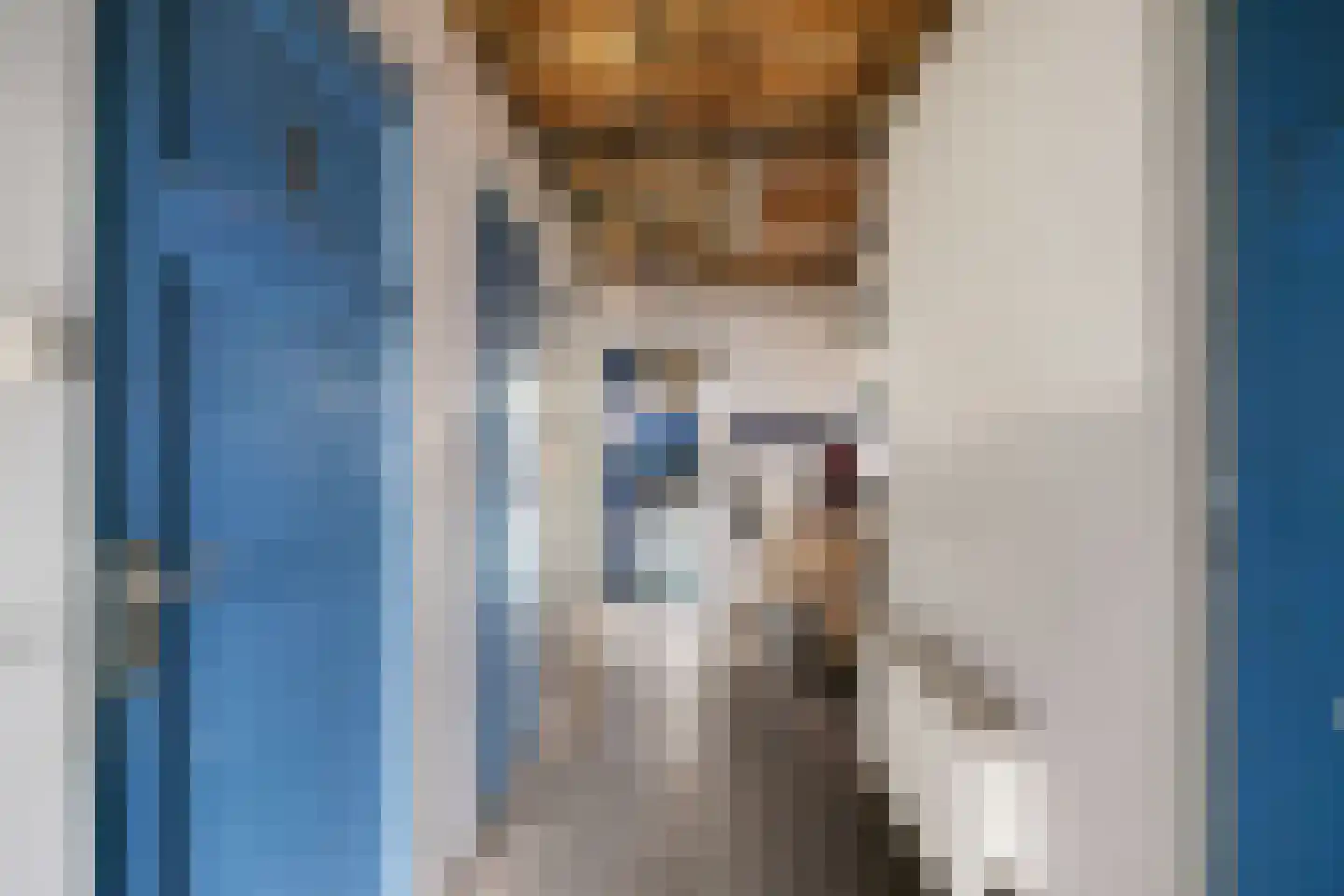 Jouke Bakkerstrjitte 9 Menaam thumbnail 15