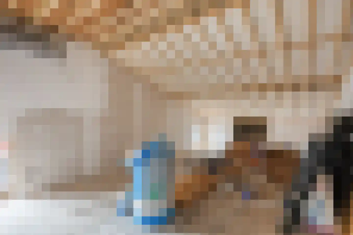 Jouke Bakkerstrjitte 9 Menaam thumbnail 34