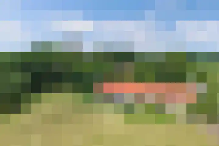 Joukereedtsje 10 Dronryp thumbnail 10