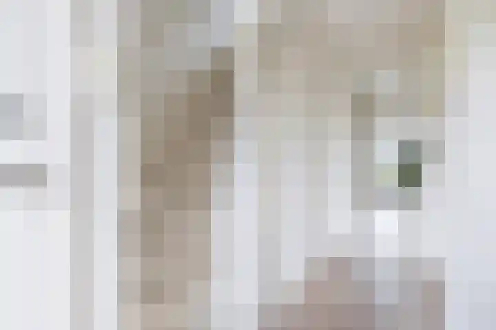 Joukereedtsje 10 Dronryp thumbnail 11