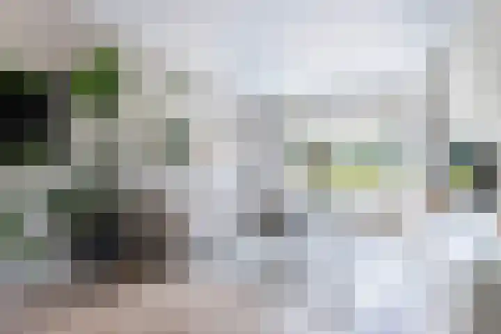 Joukereedtsje 10 Dronryp thumbnail 13