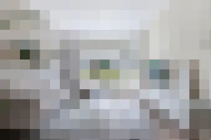 Joukereedtsje 10 Dronryp thumbnail 14