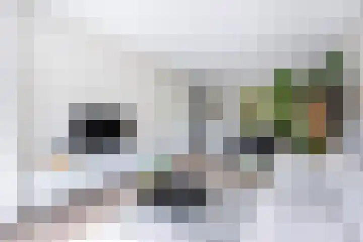Joukereedtsje 10 Dronryp thumbnail 16