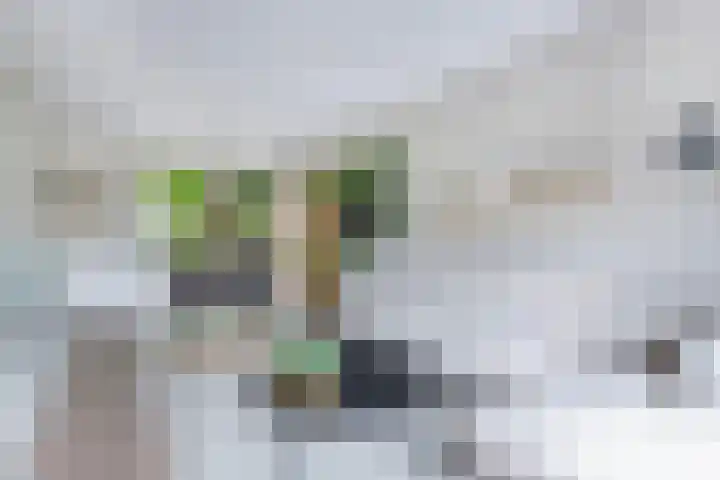 Joukereedtsje 10 Dronryp thumbnail 17