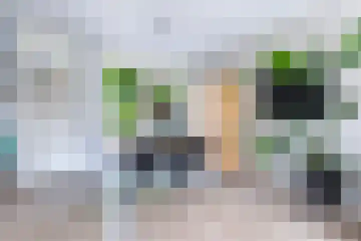 Joukereedtsje 10 Dronryp thumbnail 18