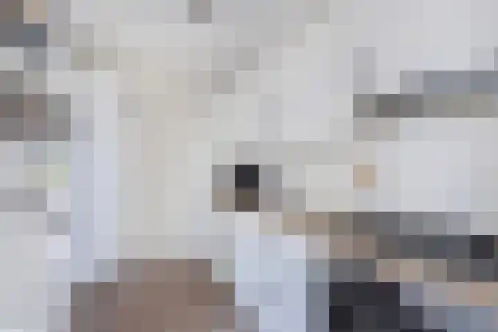Joukereedtsje 10 Dronryp thumbnail 23