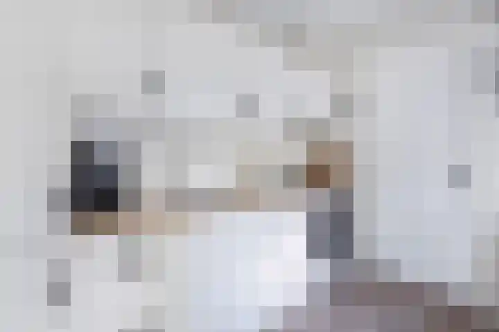 Joukereedtsje 10 Dronryp thumbnail 24