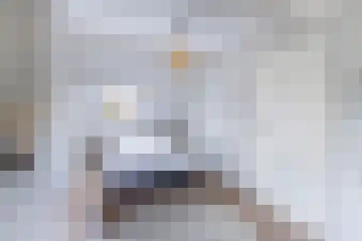 Joukereedtsje 10 Dronryp thumbnail 29