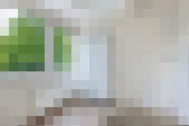 Joukereedtsje 10 Dronryp thumbnail 32