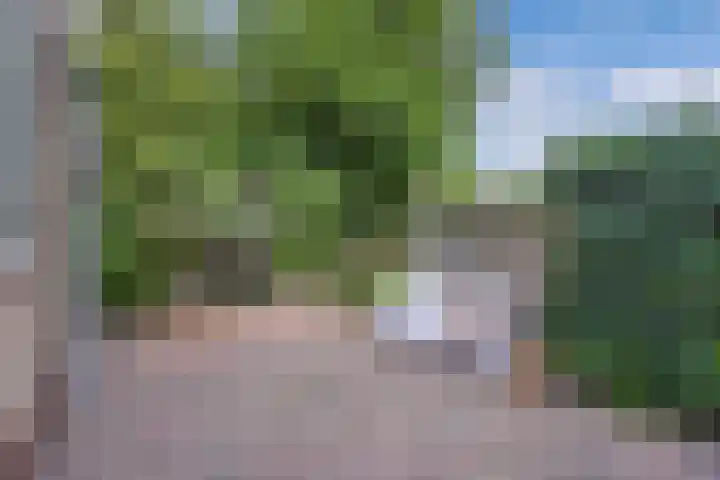 Joukereedtsje 10 Dronryp thumbnail 35