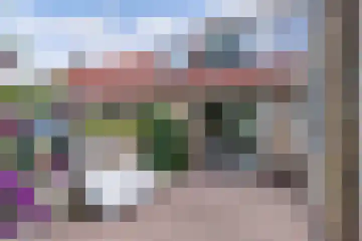 Joukereedtsje 10 Dronryp thumbnail 38