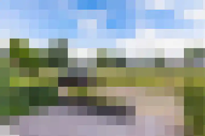 Joukereedtsje 10 Dronryp thumbnail 4