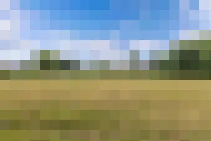 Joukereedtsje 10 Dronryp thumbnail 5