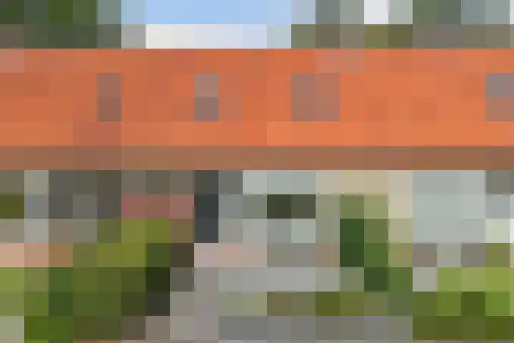 Joukereedtsje 10 Dronryp thumbnail 6