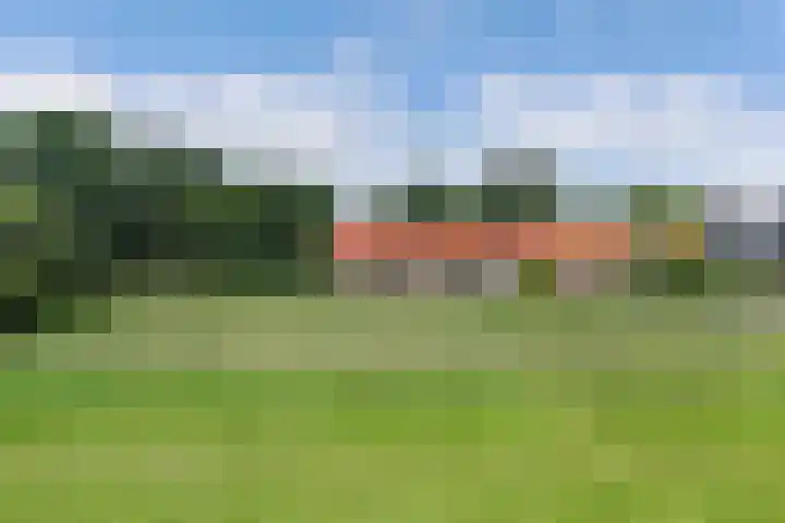 Joukereedtsje 10 Dronryp thumbnail 9