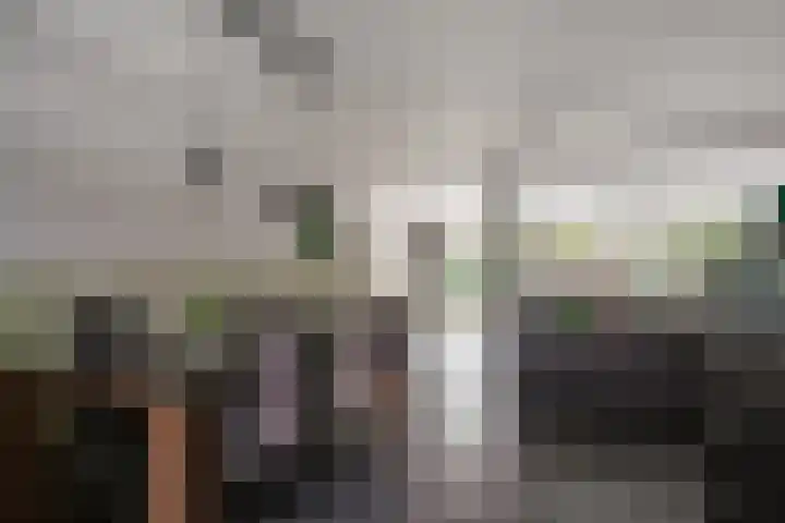 Jourestraat 24 Arnhem thumbnail 19