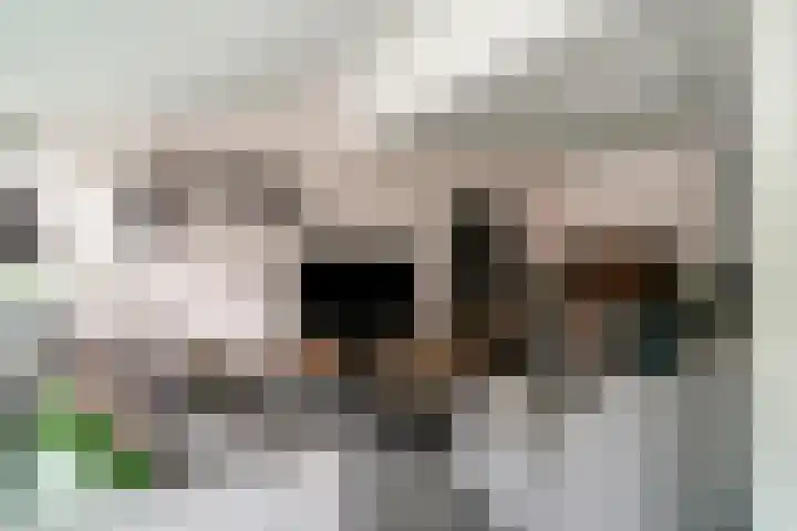 Jourestraat 24 Arnhem thumbnail 21