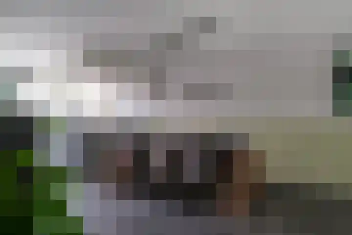 Jourestraat 24 Arnhem thumbnail 24