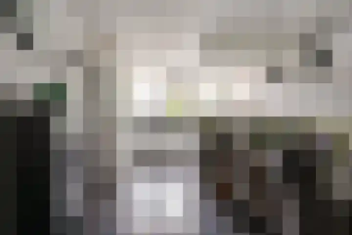 Jourestraat 24 Arnhem thumbnail 25