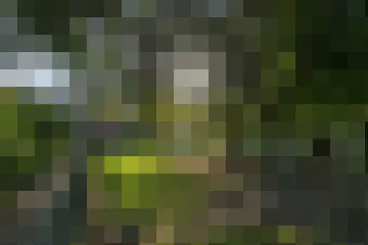 Jourestraat 24 Arnhem thumbnail 27