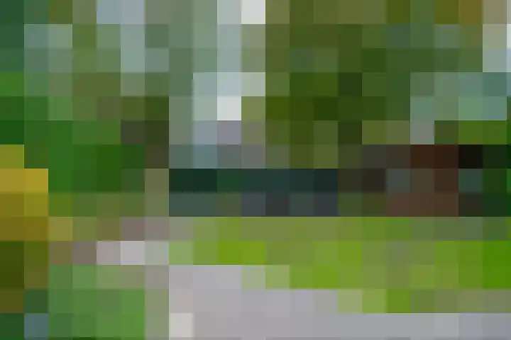 Jourestraat 24 Arnhem thumbnail 28