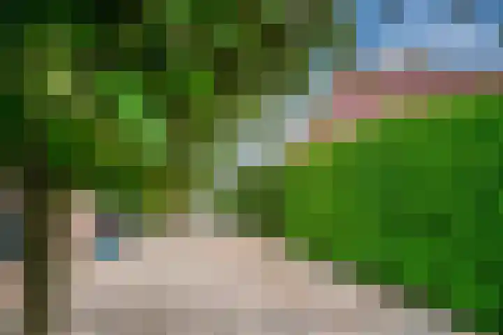 Jourestraat 24 Arnhem thumbnail 35