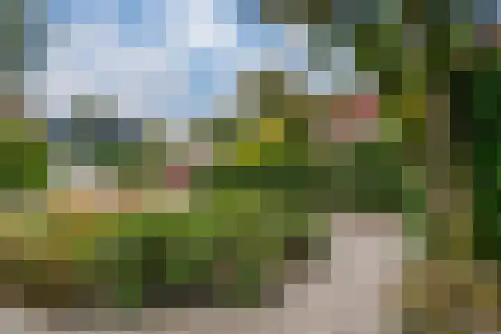 Jourestraat 24 Arnhem thumbnail 9